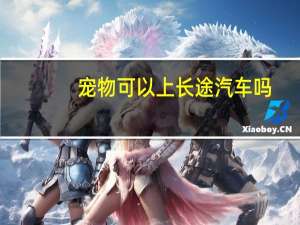 宠物可以上长途汽车吗
