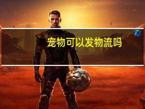 宠物可以发物流吗
