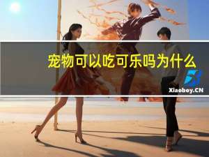 宠物可以吃可乐吗为什么