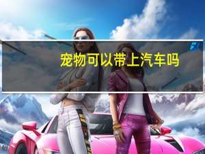 宠物可以带上汽车吗
