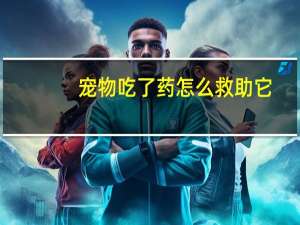 宠物吃了药怎么救助它