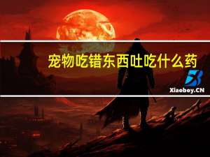 宠物吃错东西吐吃什么药