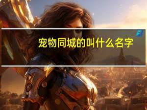 宠物同城的叫什么名字