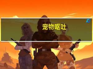 宠物呕吐