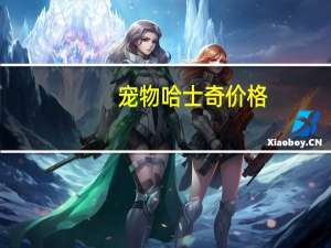 宠物哈士奇价格