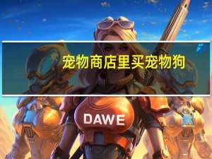 宠物商店里买宠物狗