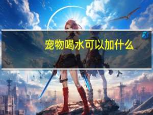 宠物喝水可以加什么
