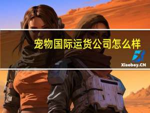 宠物国际运货公司怎么样