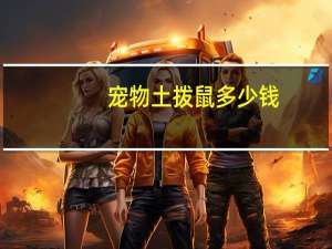 宠物土拨鼠多少钱？