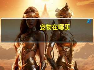 宠物在哪买