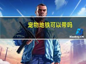 宠物地铁可以带吗