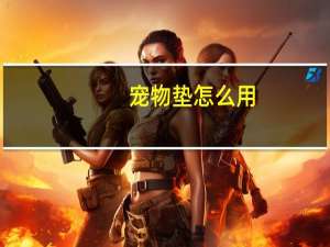 宠物垫怎么用