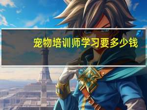 宠物培训师学习要多少钱