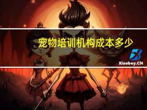 宠物培训机构成本多少