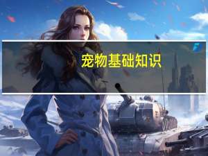 宠物基础知识