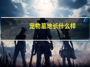 宠物墓地长什么样