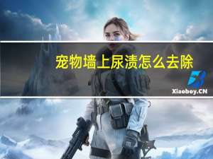 宠物墙上尿渍怎么去除