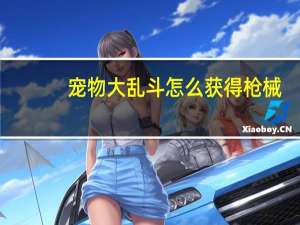 宠物大乱斗怎么获得枪械