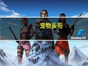 宠物头衔