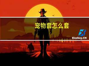 宠物套怎么套