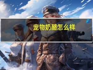宠物奶酪怎么样