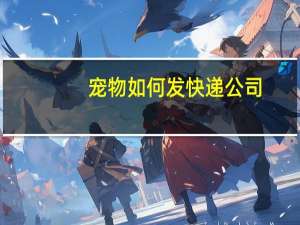 宠物如何发快递公司