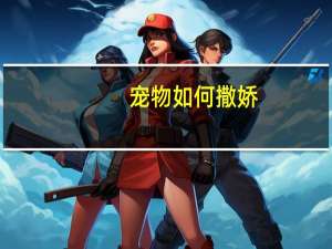 宠物如何撒娇