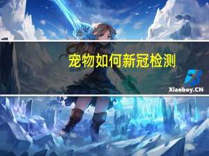 宠物如何新冠检测