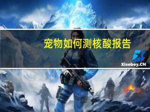 宠物如何测核酸报告