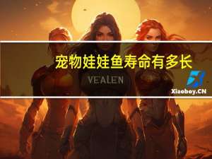 宠物娃娃鱼寿命有多长