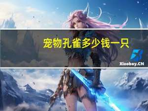 宠物孔雀多少钱一只