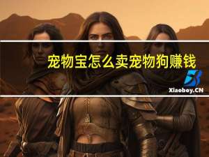 宠物宝怎么卖宠物狗赚钱