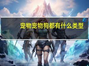 宠物宠物狗都有什么类型