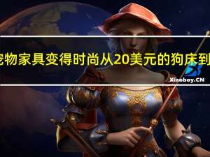 宠物家具变得时尚 从20美元的狗床到5,000美元的猫塔
