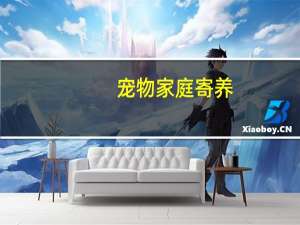 宠物家庭寄养