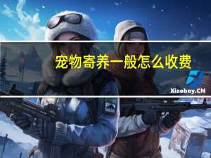 宠物寄养一般怎么收费
