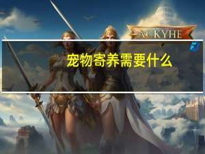 宠物寄养需要什么