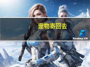 宠物寄回去