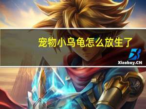宠物小乌龟怎么放生了