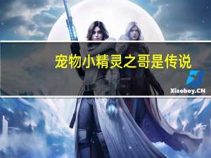 宠物小精灵之哥是传说