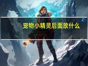 宠物小精灵后面放什么
