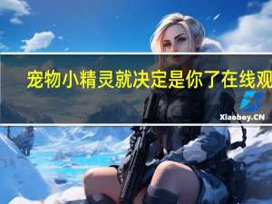 宠物小精灵就决定是你了在线观看（宠物小精灵就决定是你）