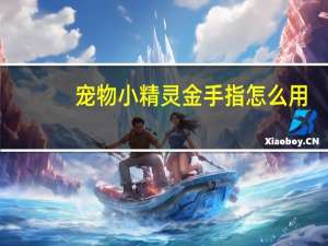 宠物小精灵金手指怎么用