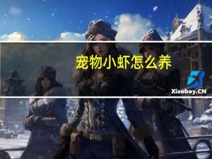 宠物小虾怎么养
