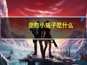 宠物小蝎子吃什么