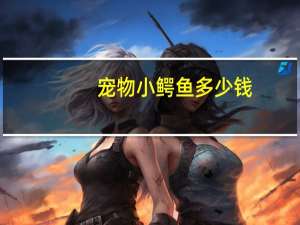 宠物小鳄鱼多少钱