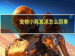 宠物小鸡发凉怎么回事