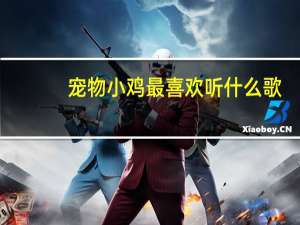 宠物小鸡最喜欢听什么歌