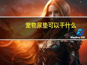 宠物尿垫可以干什么