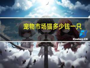 宠物市场猫多少钱一只